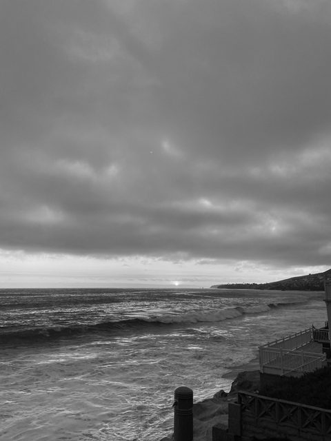 Angelina Rose @aangelinarose cover picture