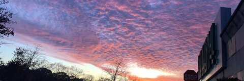 Abby @abbymarie cover picture