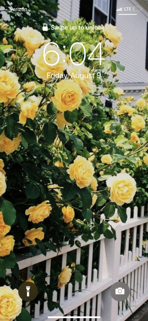 Abby @abbyyyy cover picture