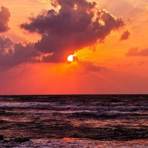 Adrianna @adriannafairy cover picture