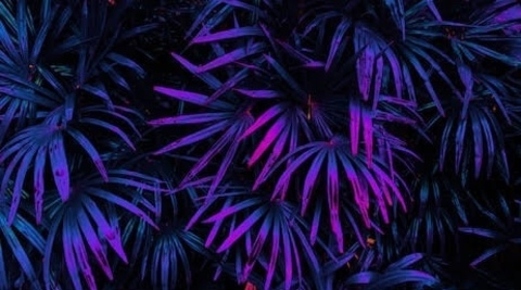 gerdus @africans cover picture