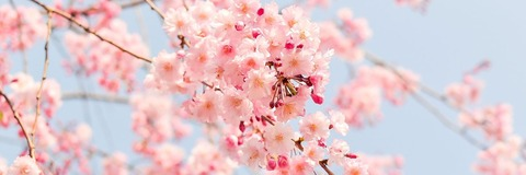 Aimee @aimeemay cover picture