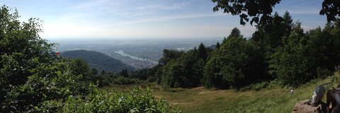 Just Costco 🧢 @alarmingcobra07 cover picture