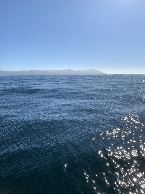 Alayna @alayna cover picture