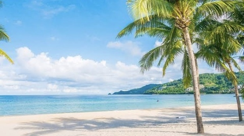 Alejandra @alejandragonzales cover picture