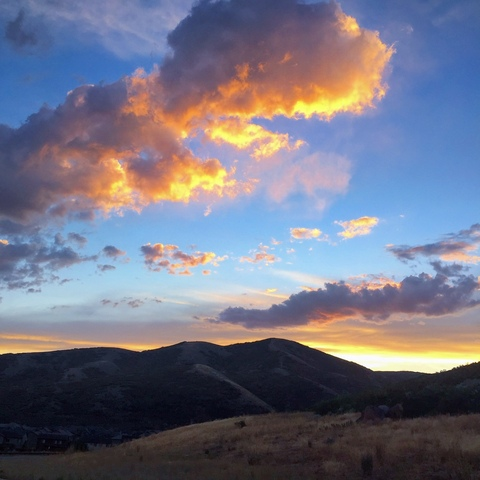 Alexander Mecum @alex_mecum cover picture