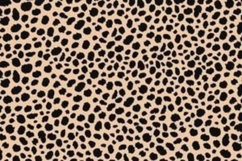 Alexandra @alexandraa93 cover picture
