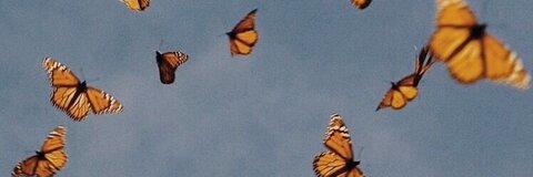 Love, Alexia 💋 @alexiablack cover picture