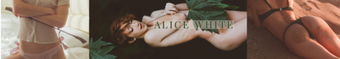 Alice White @aliceoncam cover picture