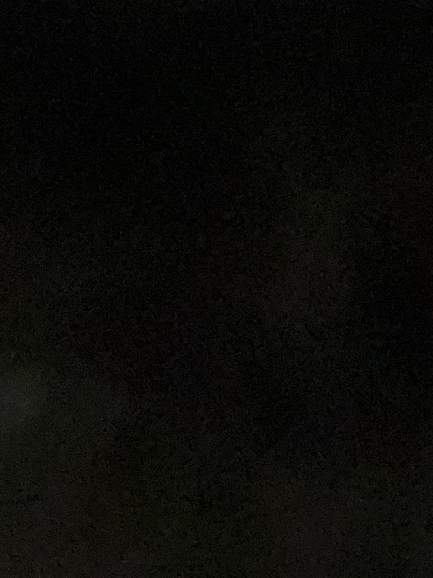 Alice Wharton @alicewhartonn cover picture