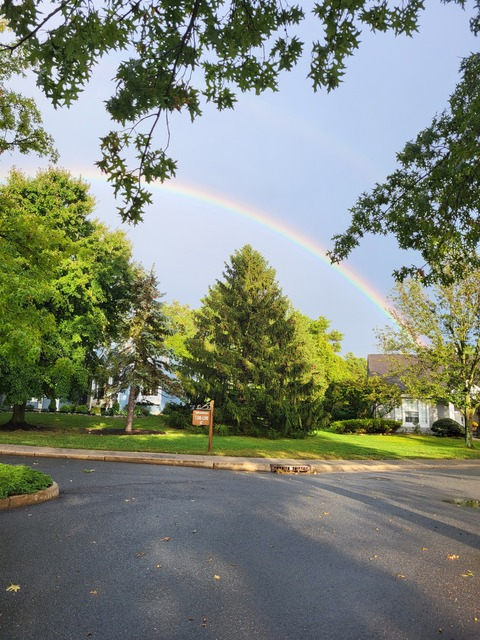 Allison Manziano @allie-cat cover picture