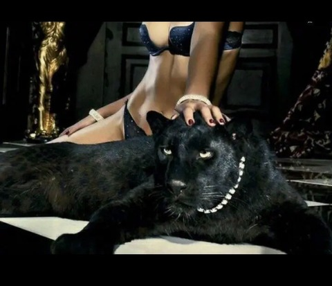 Alora @aloradreem cover picture