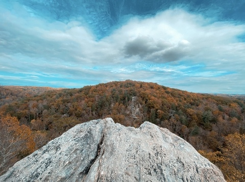 Anna L @alsunflower cover picture