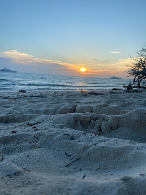 Maisie @amaisie02 cover picture