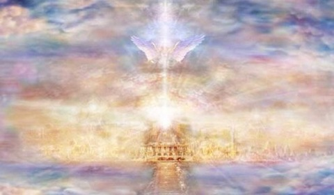 Amanda @amandamanda cover picture