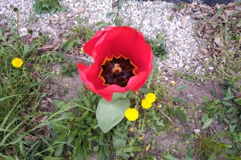 Ana Rainbow @ana_rainbow cover picture