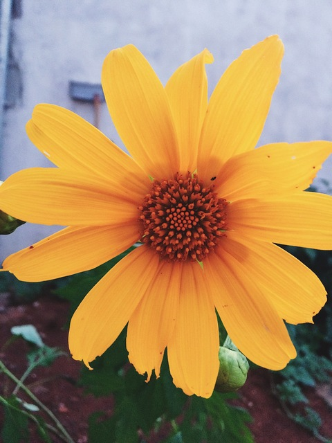 Ana @anacarolina cover picture