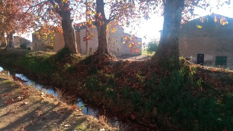 Ana Serrano @anaserrano cover picture