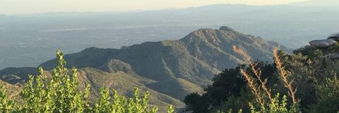 Andie 🌻 @andie cover picture