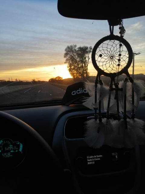 ANGEL @angel1101 cover picture