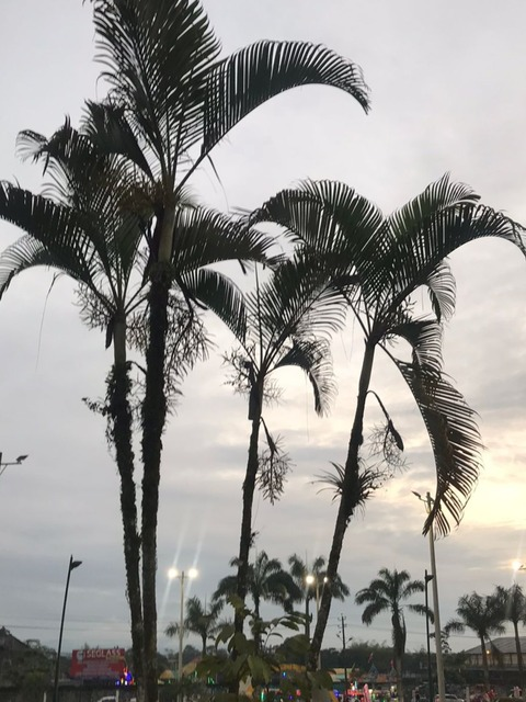 Ángela @angelamami cover picture