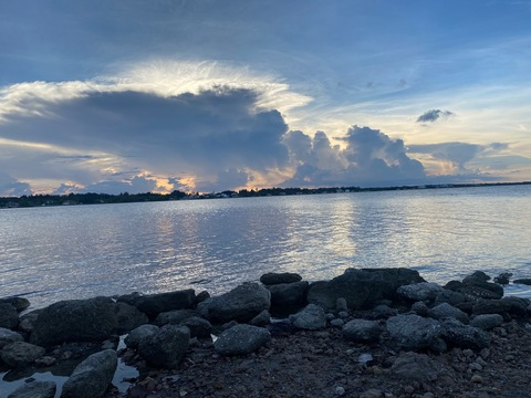 Angel @angelkat1 cover picture