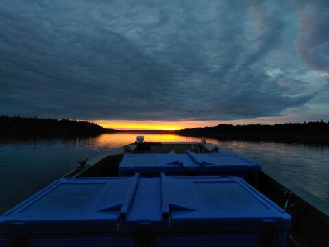 Michael Angelo DeLo ll @angelodelo cover picture