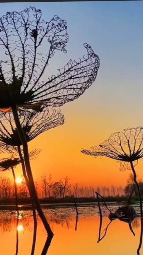 Carp Studio 🇻🇳 @anhcachep cover picture