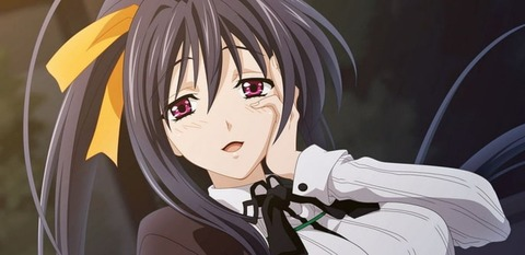 Animaechan @animaechan cover picture