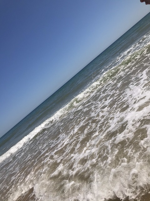 Anna-Bella Rose @annabellarose0121 cover picture