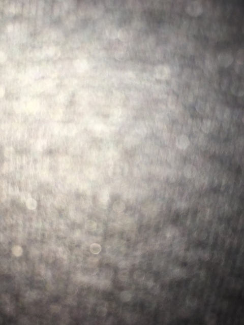 Annie @annie101 cover picture