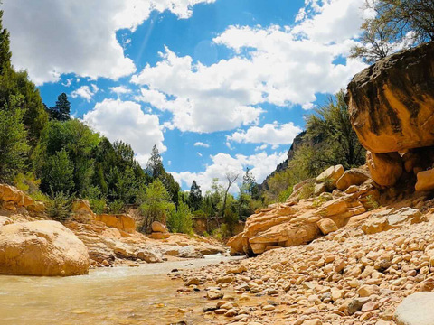 All4you @anything4you cover picture