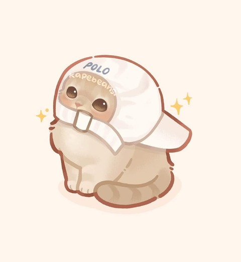 Aoix🔥 @aoixx cover picture