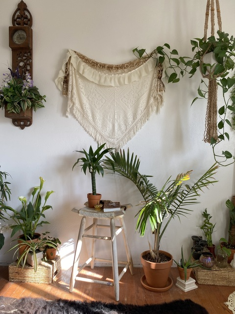 aquafairyy @aquariusfairyy cover picture