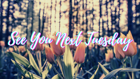 Seeyounexttuesday @arealseeyounexttuesdsay cover picture