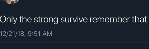 AR 🧼 @arzeviur cover picture