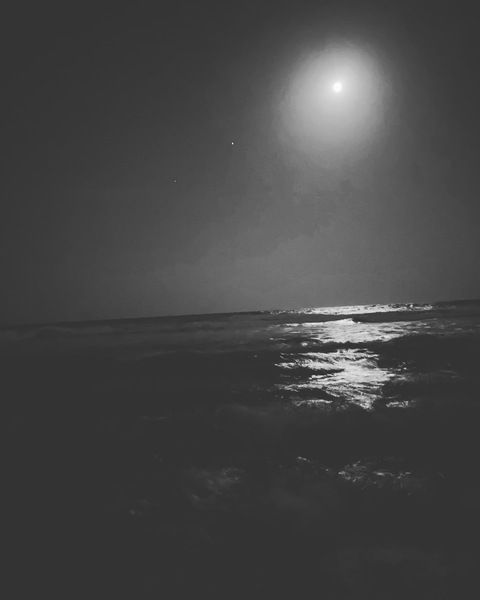 Ashley @ashle3y cover picture