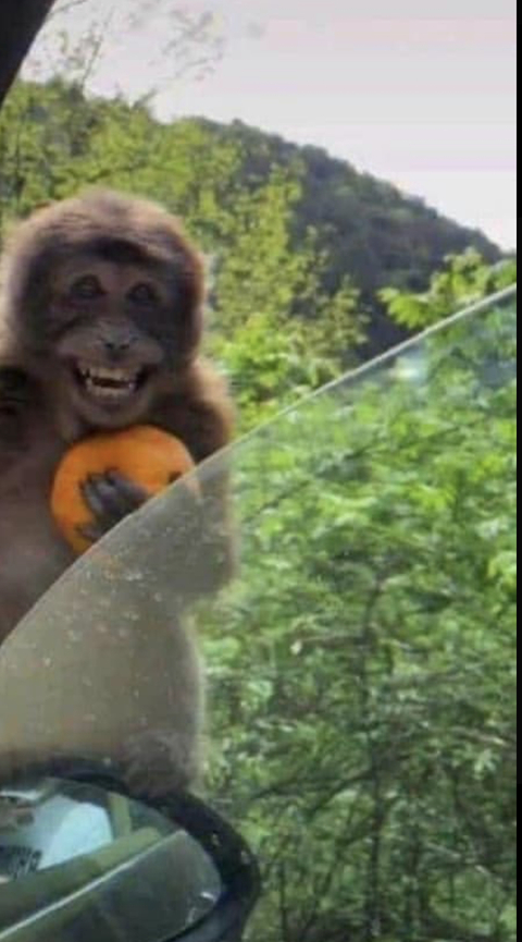 Asianspade @asianspade cover picture