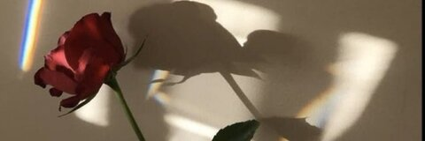 ASMR Claudy @asmrclaudy cover picture