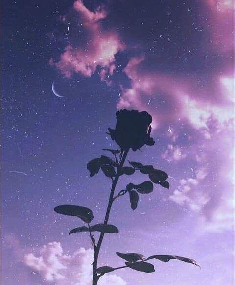 Asterya @asterya_dark cover picture