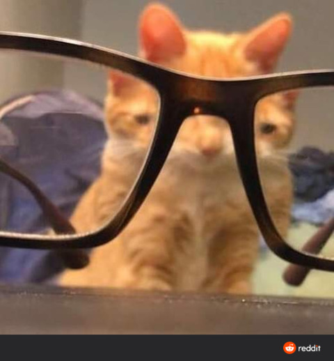 Audacious @audacious cover picture