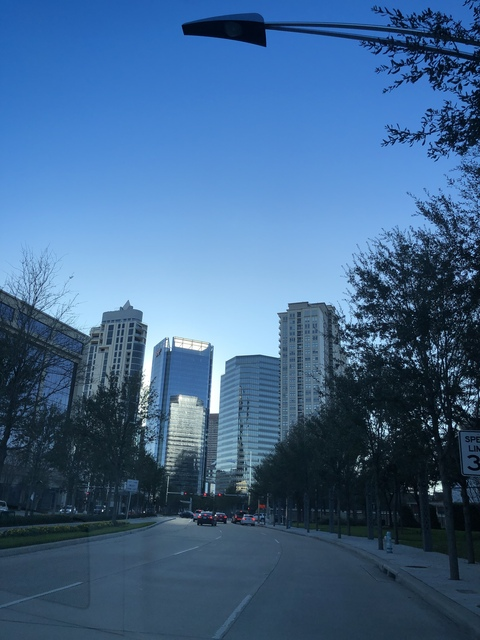 auri @aurigotfanss cover picture