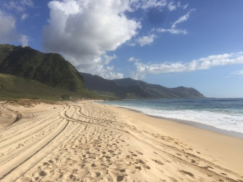 Aurora Rose @aurora-rose cover picture