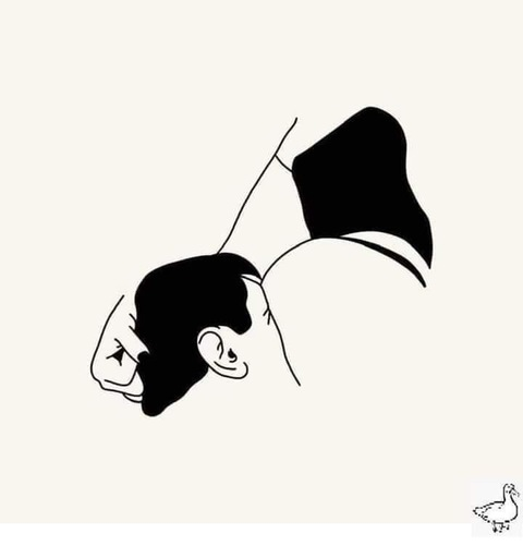 Aurora @aurorabrooke cover picture