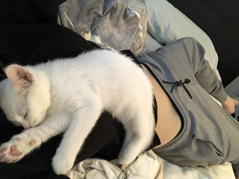 Ava @avaababyy cover picture