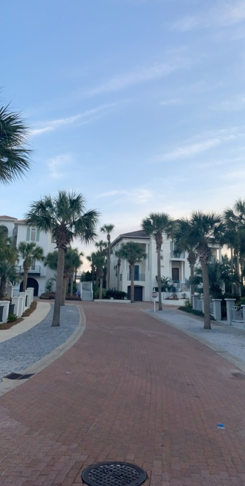 Avery 🌻 @averymarch cover picture