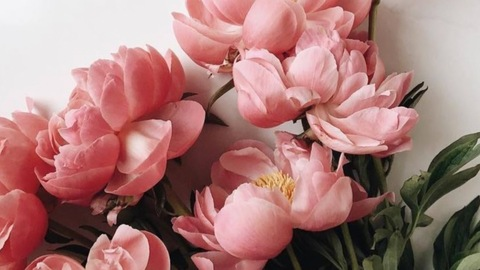 Mya @b00tybby cover picture