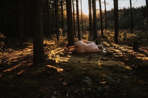 b_adamkova @b_adamkova cover picture