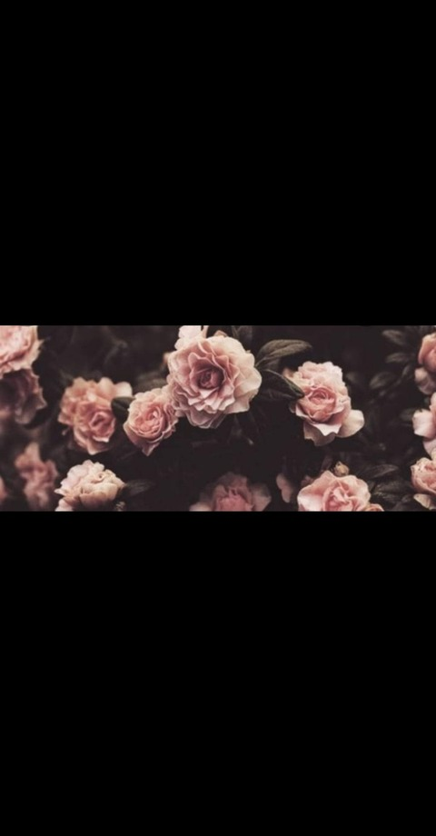 Baby gurll @baby-gurll cover picture