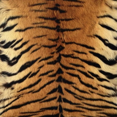 Babydoll Jade @babydolljade cover picture